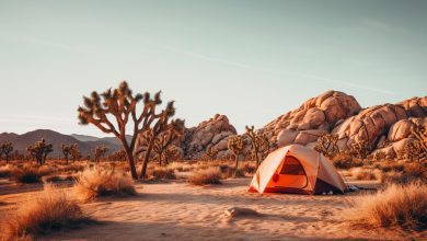 Camping in Joshua tree national park, california.